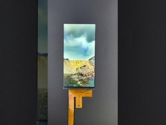 6 inch 1080 * 2160 độ phân giải lcd tft module MIPI Interface Driving IC HX8399C