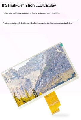 7.0 inch TFT LCD Module with 1024RGBx600 Resolution and LVDS Interface IPS Screen