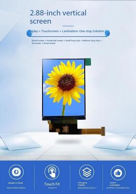 2.88" IPS TFT Module with 480X640 Resolution and MIPI/RGB Interface for High-Quality Display